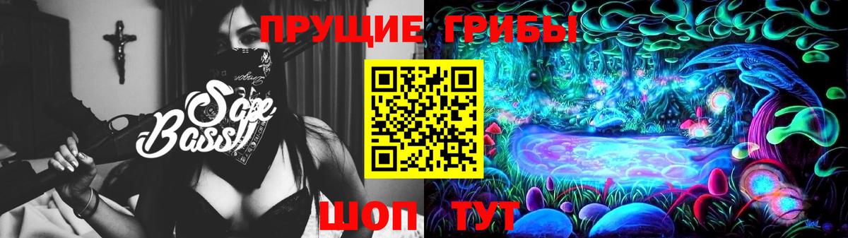 Псилоцибиновые грибы Psilocybe Гусиноозёрск